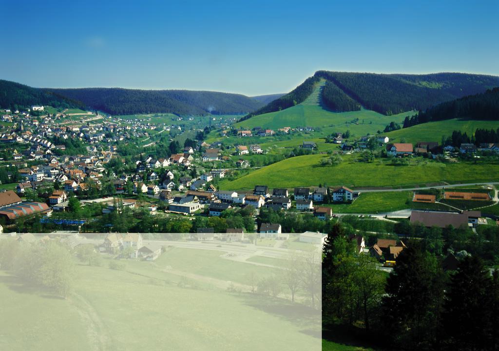 Haus Bergwiese Baiersbronn Zewnętrze zdjęcie
